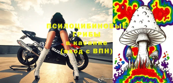 соль курить ск Ельня