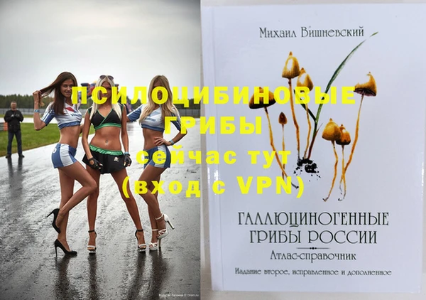 мдма Елабуга